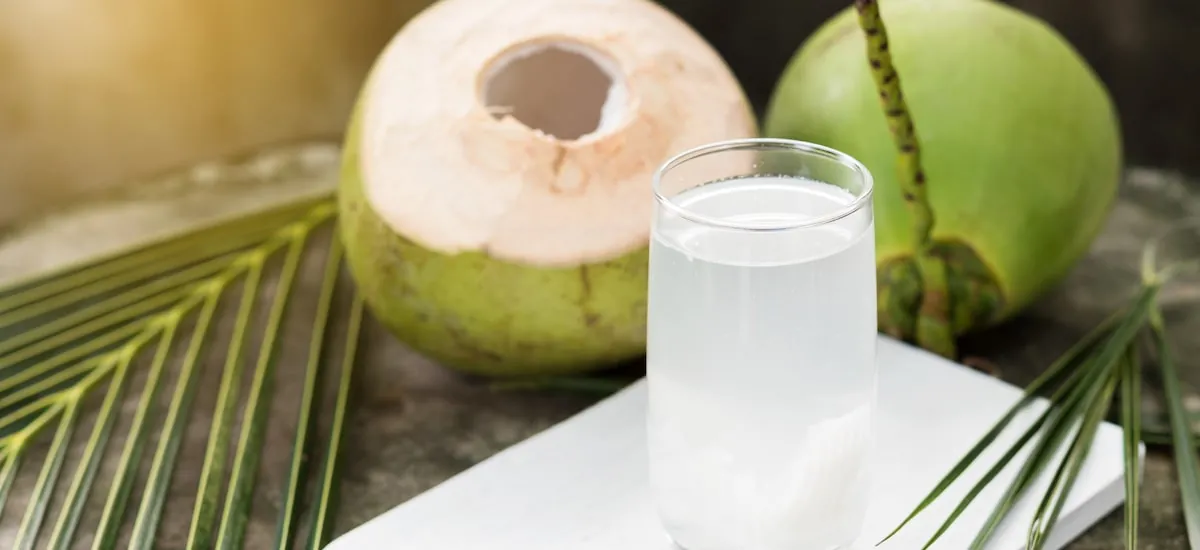 Por que consumir água de coco? Veja benefícios e a mehor marca