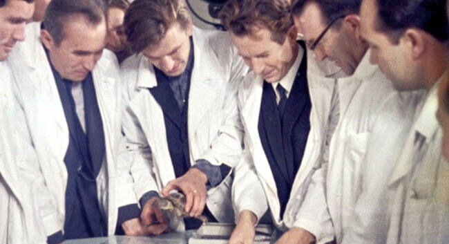 Em 1968, a União Soviética enviou duas tartarugas à Lua... e elas voltaram vivas para contar a história; entenda