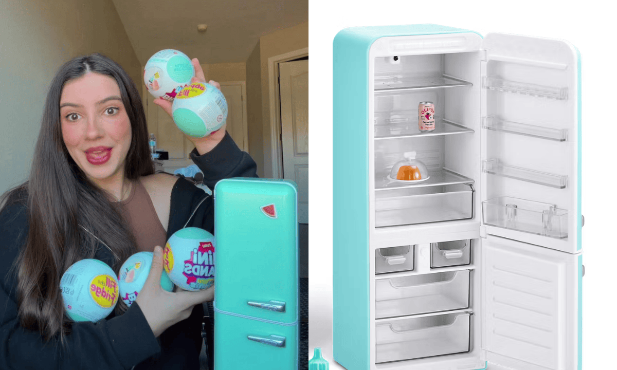 Geladeira em miniatura viraliza e revela nova moda entre adultos