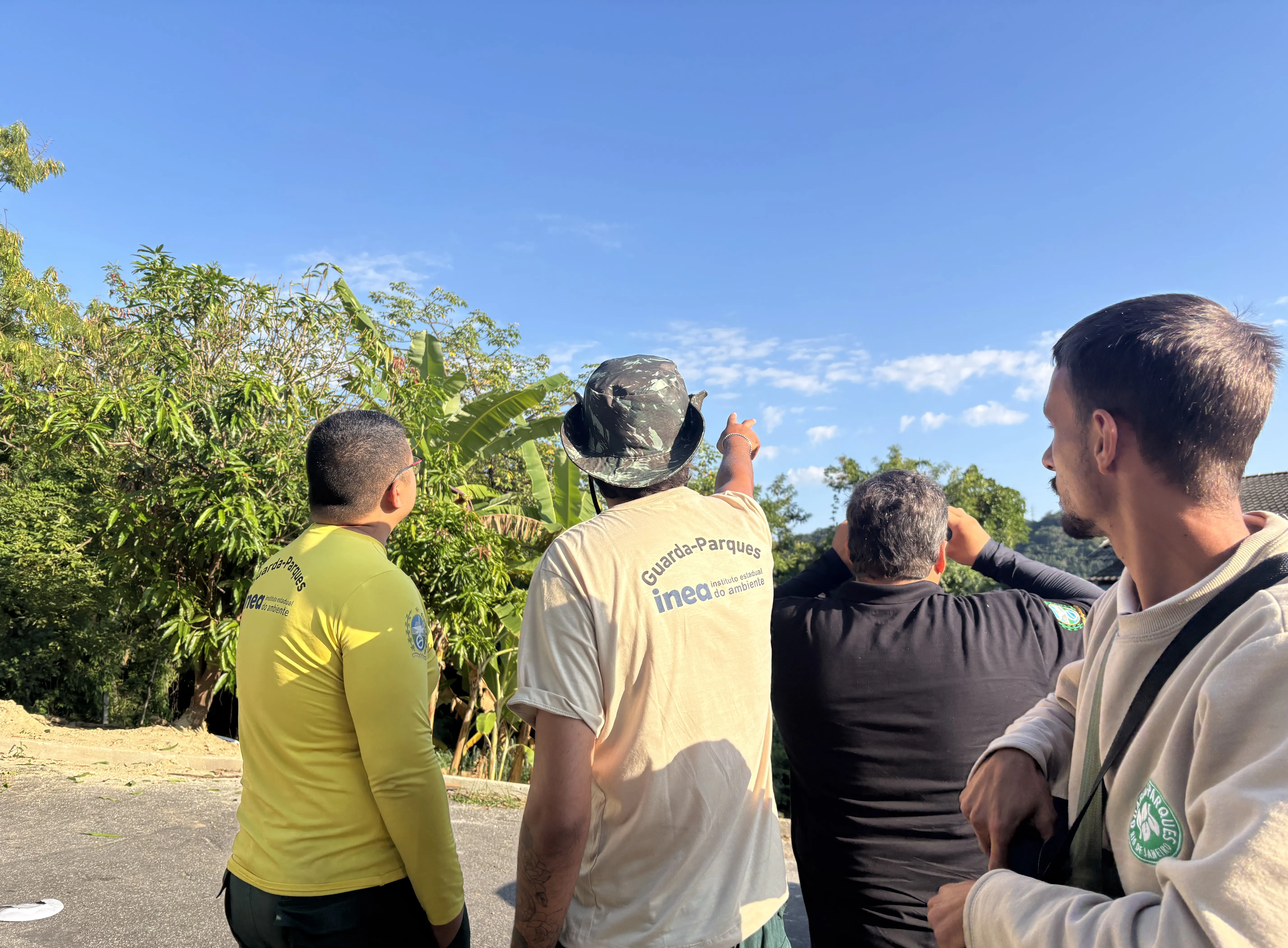 No Dia de São Jorge, 11 balões são apreendidos no Parque da Pedra Branca