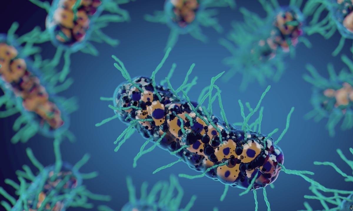 Cientistas testam bactéria do solo que pode "comer” células do câncer