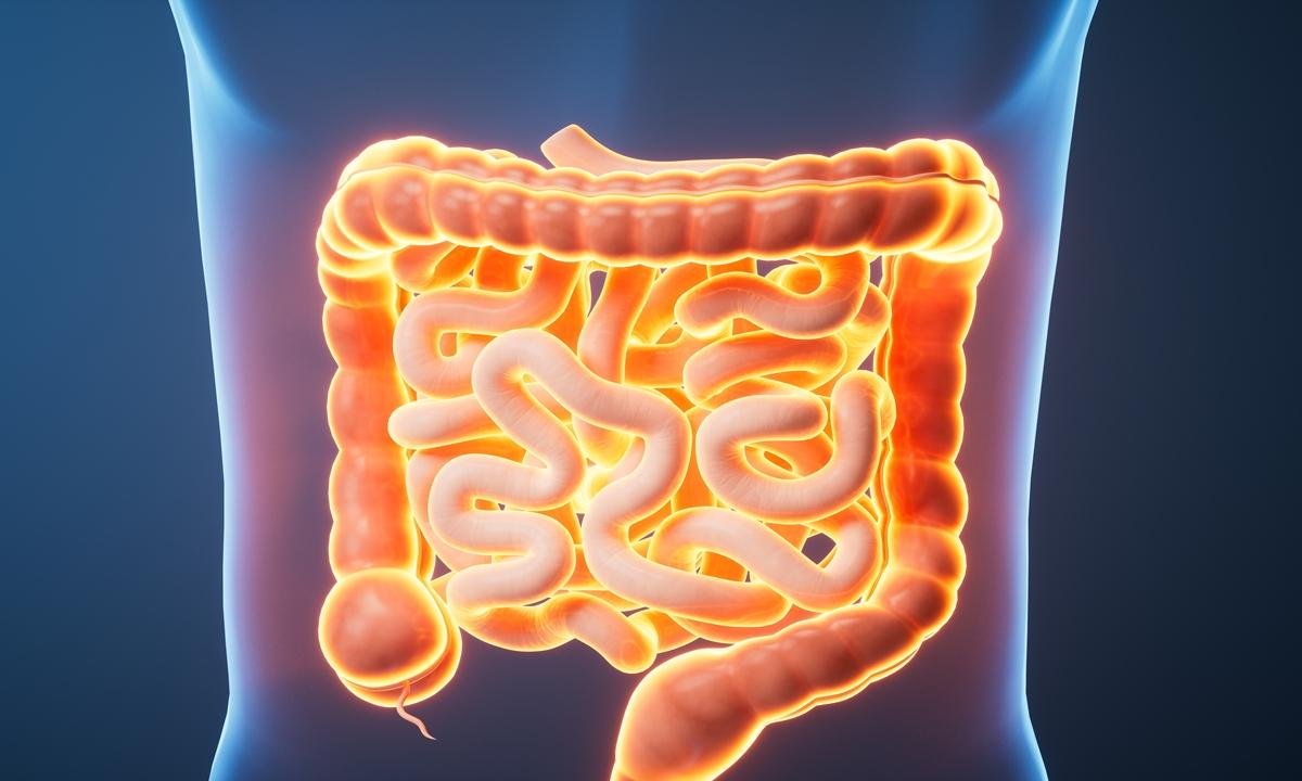 Coloproctologista aponta sinais da síndrome do intestino irritável