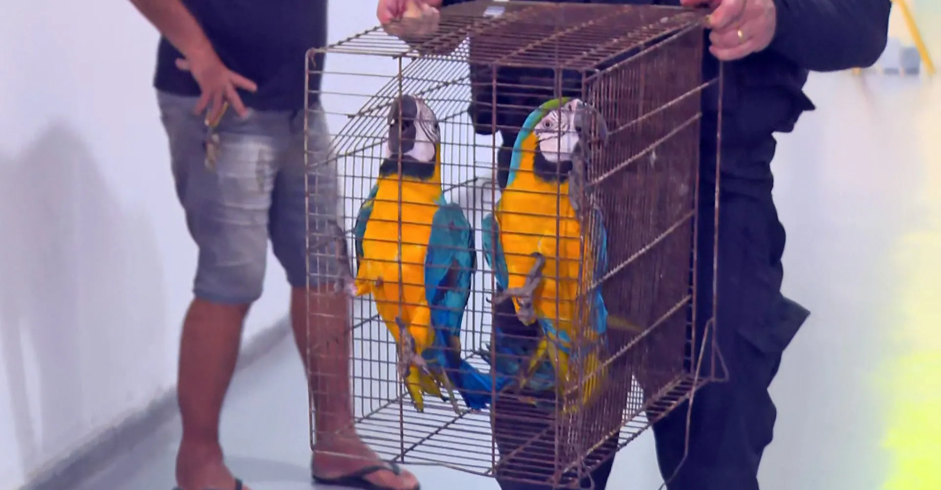 Operação mira lixões do Comando Vermelho em Duque de Caxias | G1