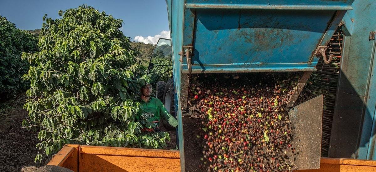 Acordo Mercosul-UE pode elevar exportações do agro brasileiro em US$ 5 bi por ano