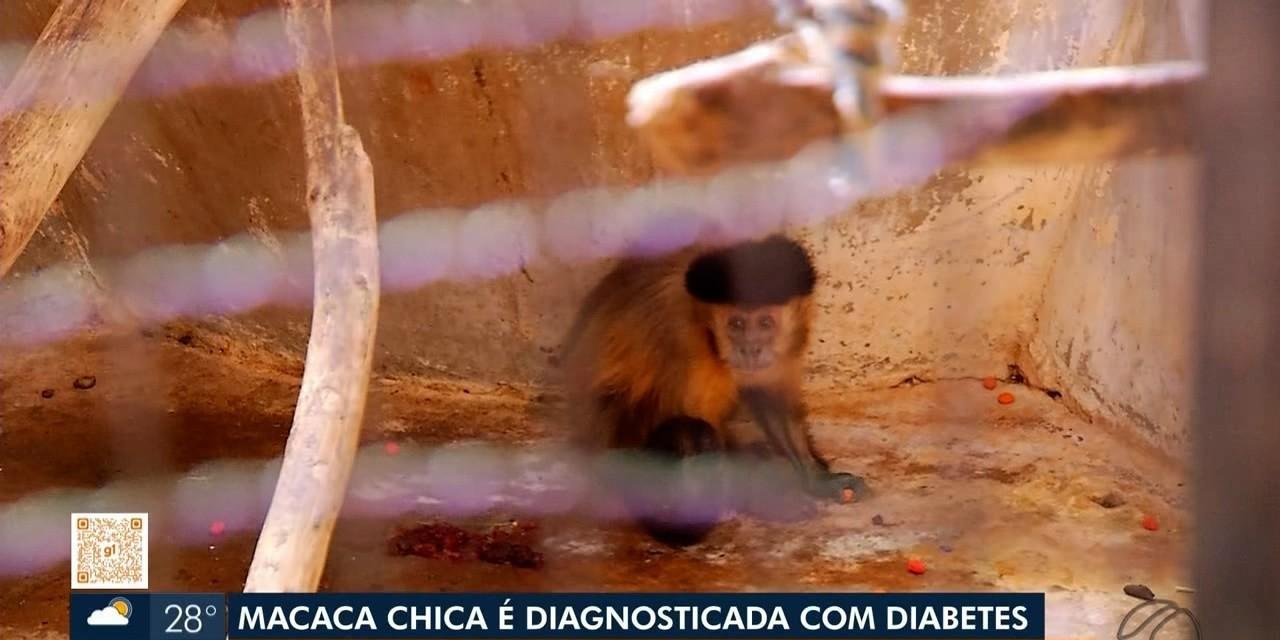 Thiago Mariscal é condenado por injúria contra reitor da Uniube | G1