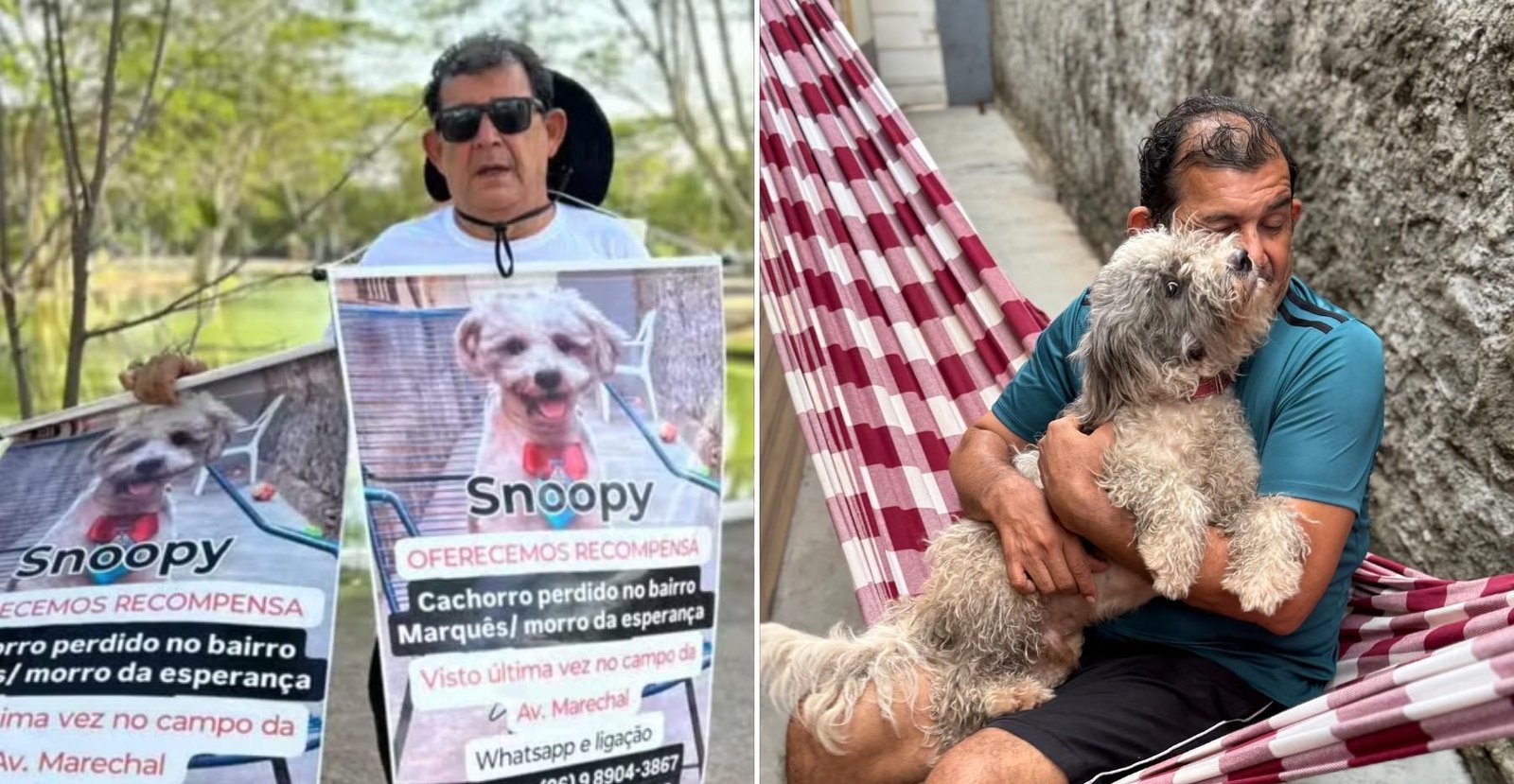 Idoso que procurou cachorro por 6 meses decide atuar pela causa animal | G1