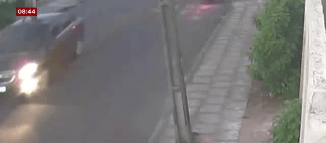 Flagrante: Motorista atropela cachorro e foge em Piraquara