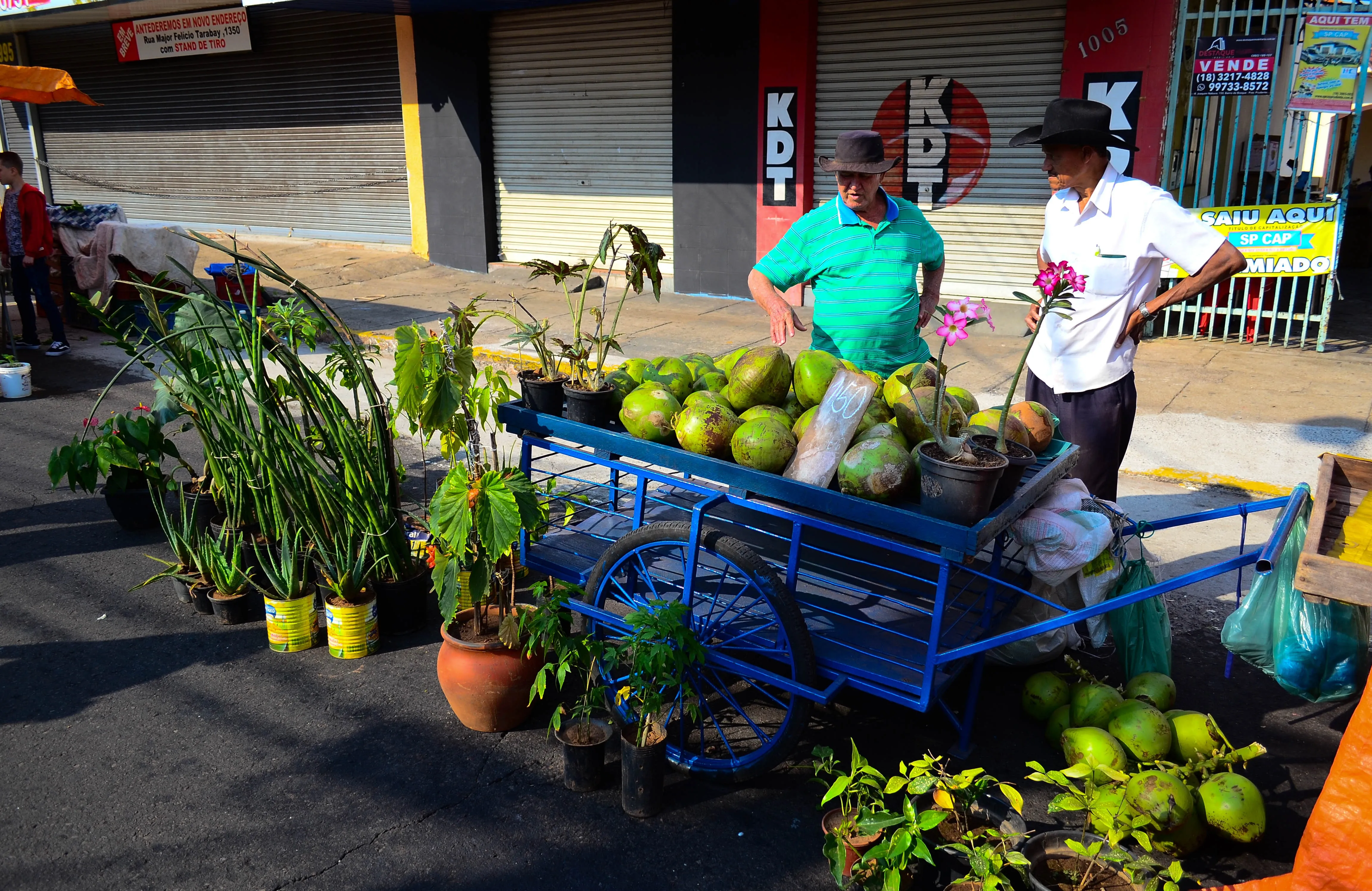Campanha facilita formalização de vendedores ambulantes em Prudente