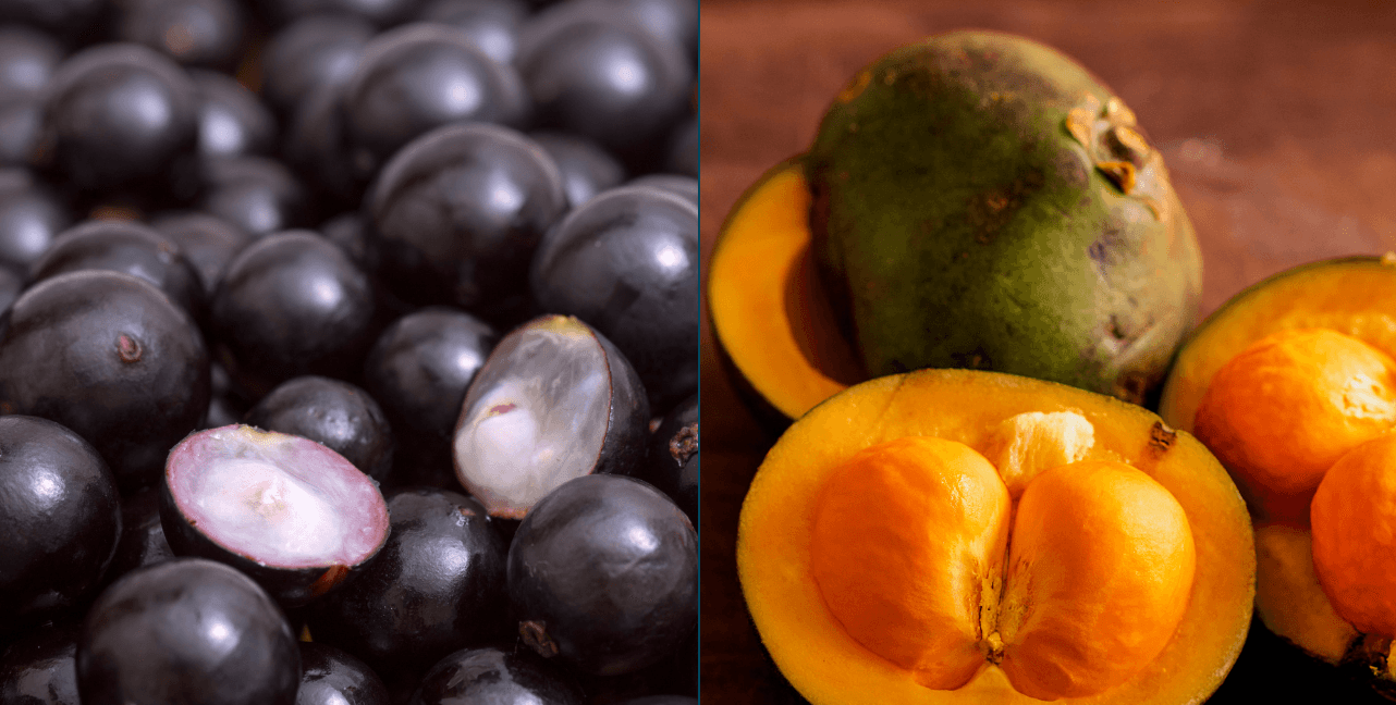 Unicamp usa jabuticaba e pequi para criar "escudo" para probióticos