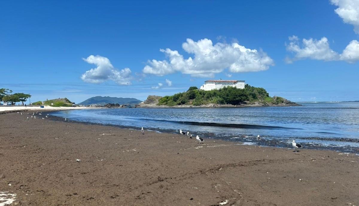 Algas marinhas mudam cenário em praia de Cabo Frio e causam forte odor | G1