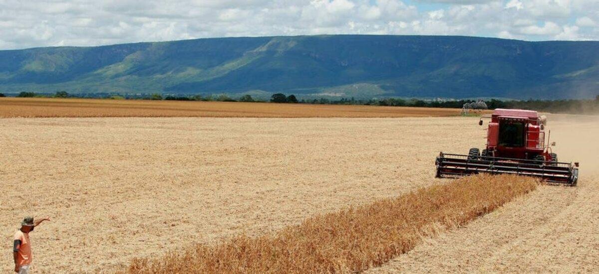Opinião | Do agro às famílias: o avanço da deterioração do crédito