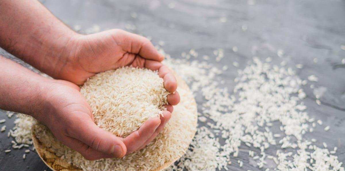 Arroz: preços sobem em fevereiro no RS após resistência de produtores