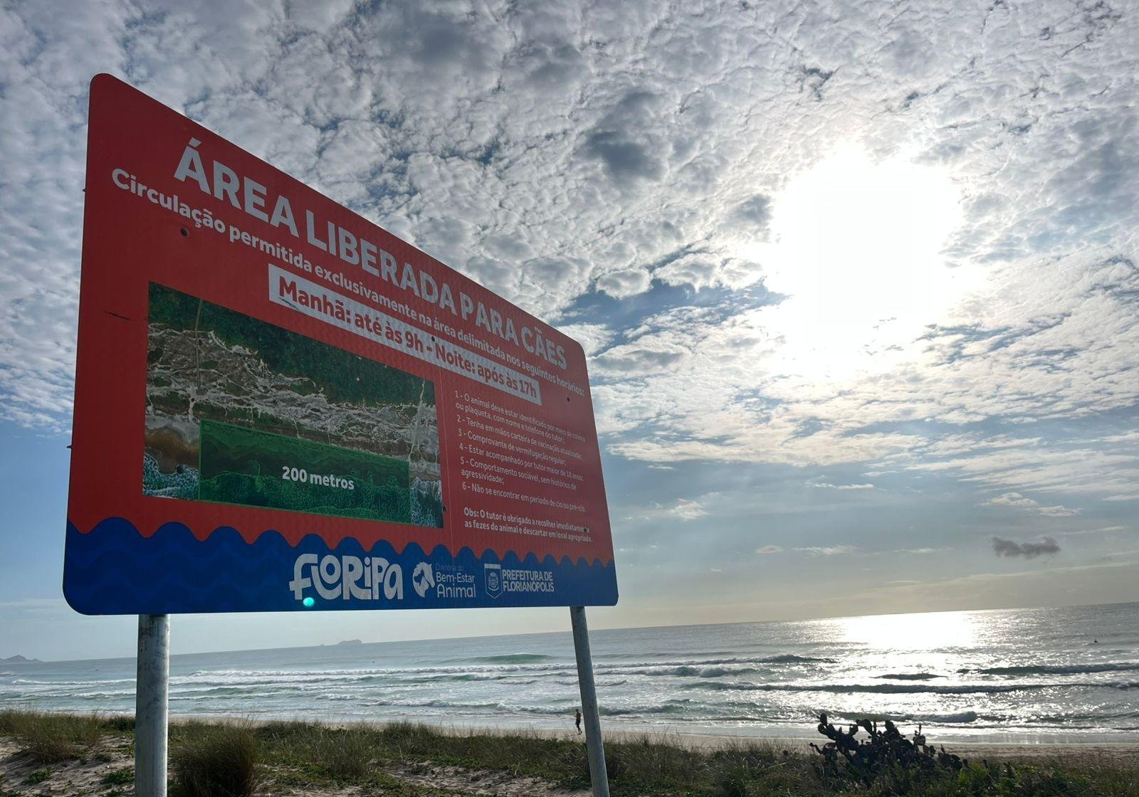 Veja as regras para cães nas praias de Florianópolis | G1