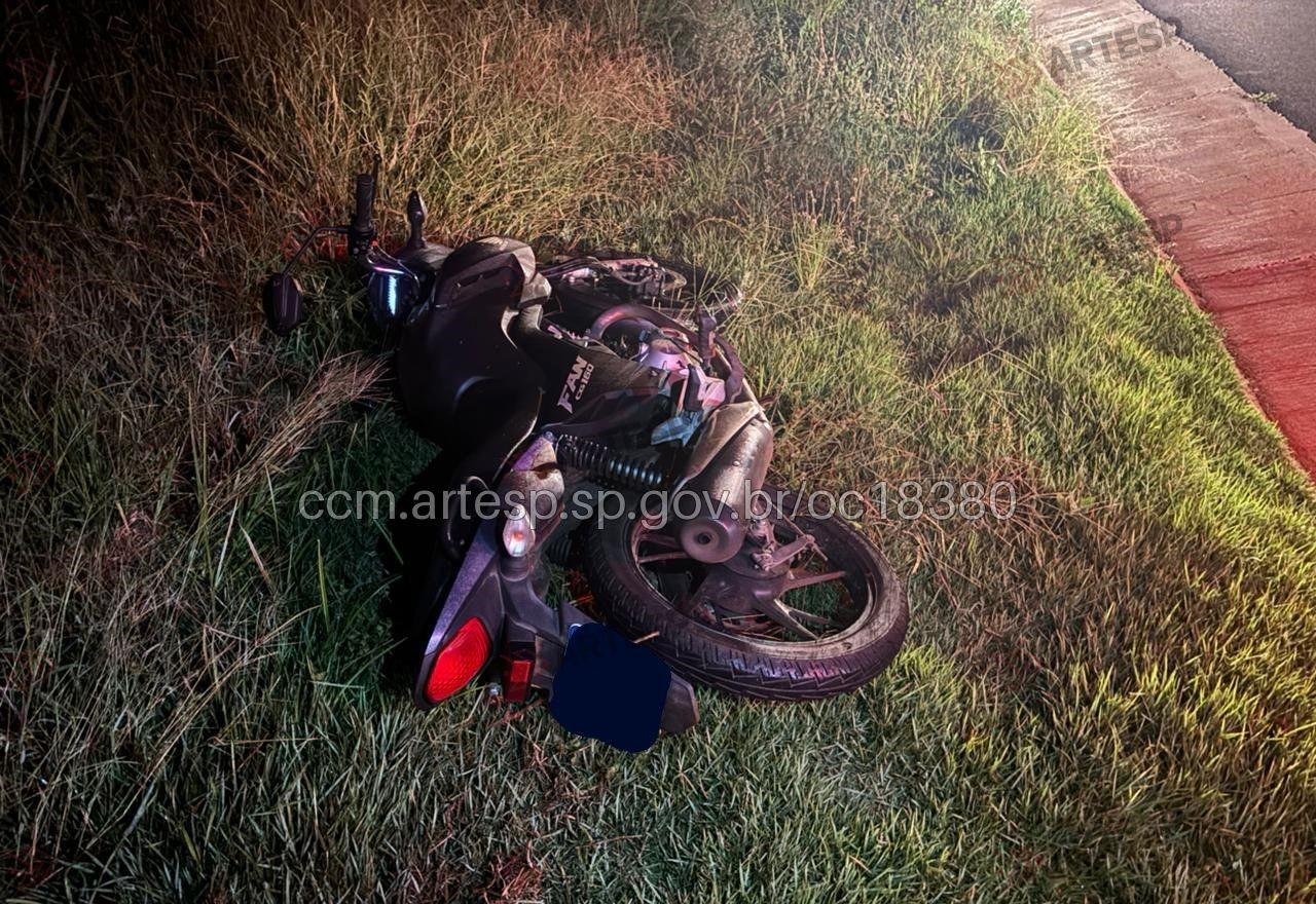 Motociclista morre após perder o controle da moto e bater em árvore | G1