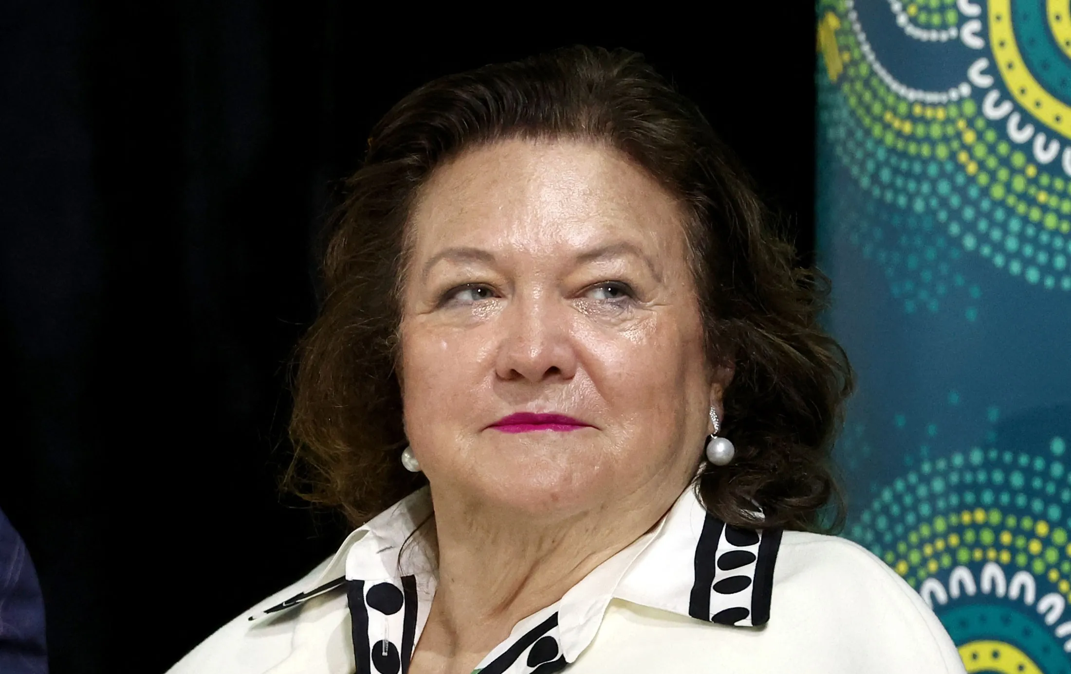 Bilionária Gina Rinehart amplia participação no setor australiano de terras-raras