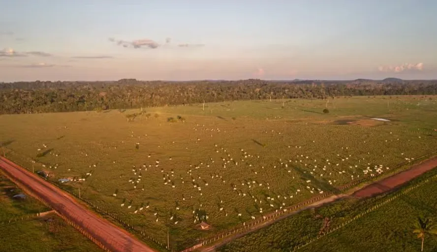 Agropecuária cresce mais de 500% no entorno de áreas protegidas na Amazônia em quatro décadas, mostra MapBiomas