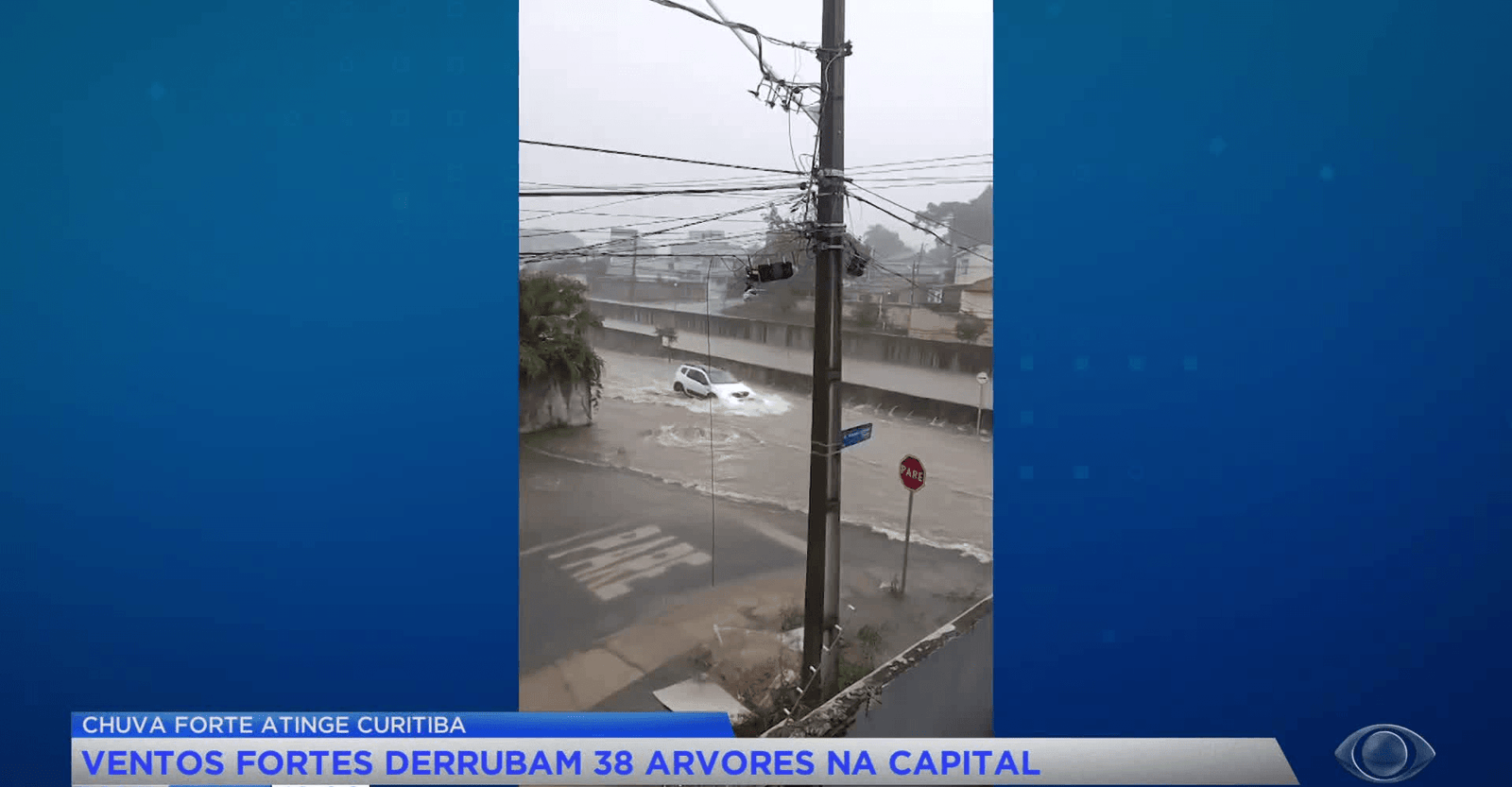 Chuva causa quedas de árvores e deixa ruas alagadas em Curitiba