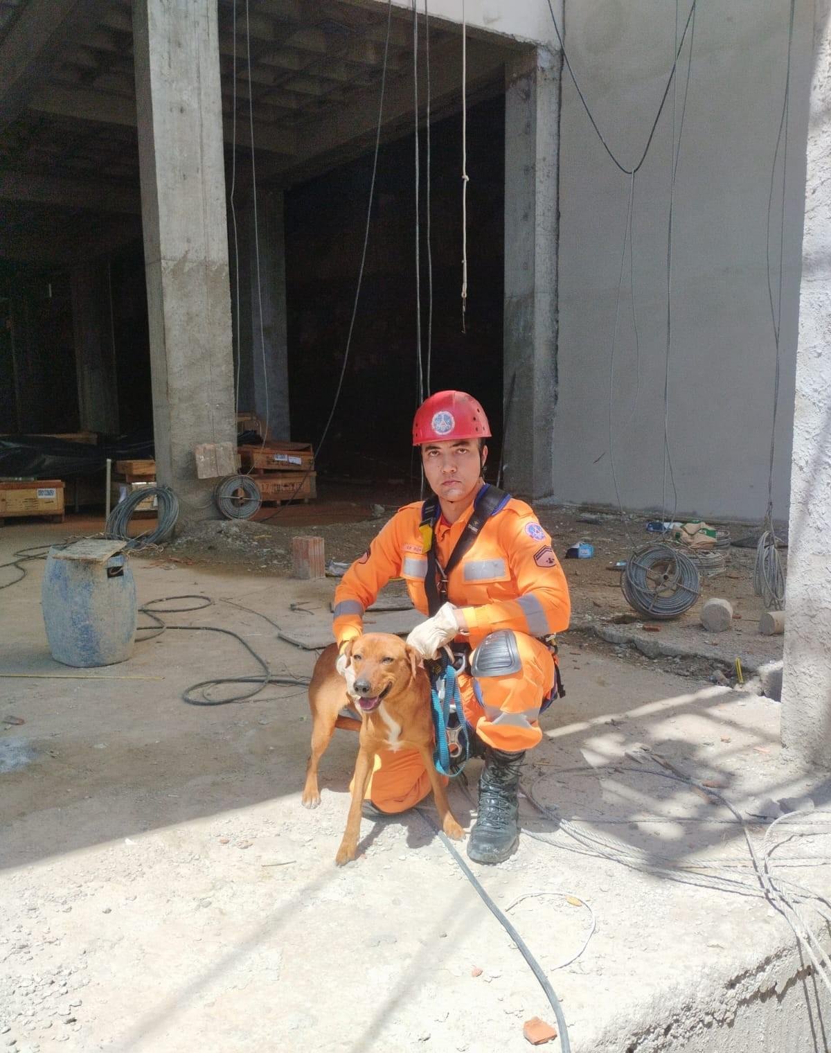 VÍDEO: Cão fica preso em andaime a 6 metros de altura | G1