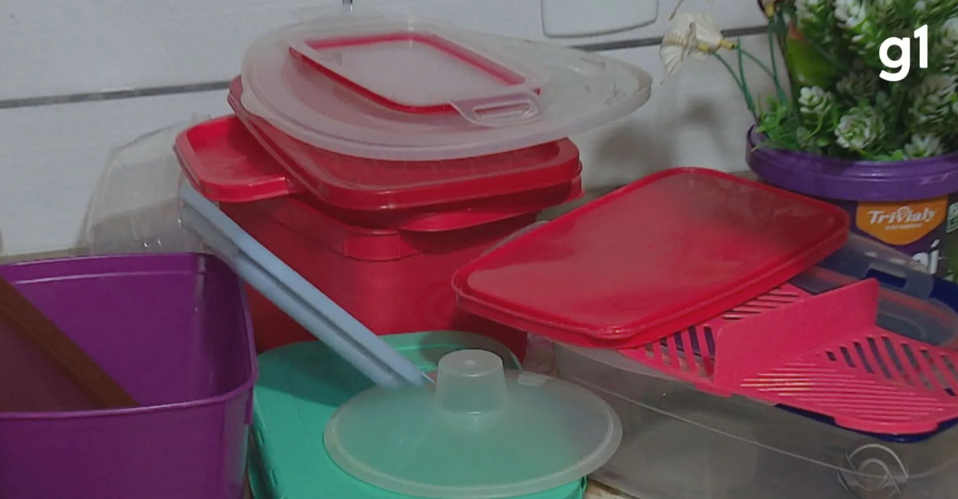 Para onde vão os potes? Eçes costumam sumir das casas do RS