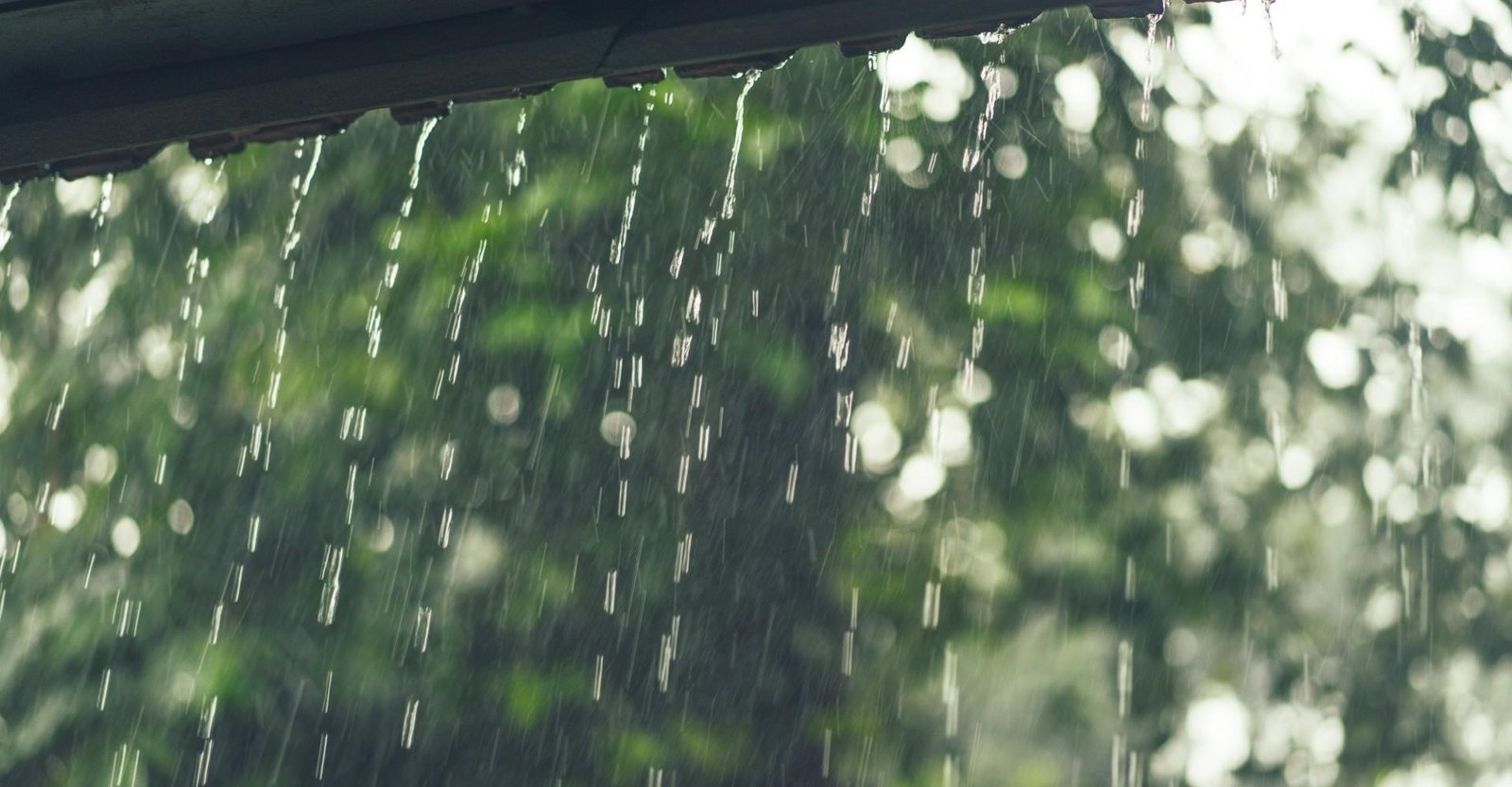 Inmet emite alerta vermelho para todo o Leste e Nordeste de Minas após temporais na Zona da Mata | G1