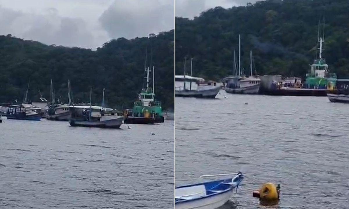 Barco é arrastado por balsa desgovernada após fortes ventos | G1