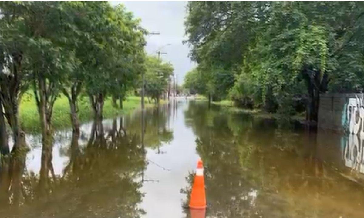 Debaixo d'água, Peruíbe registra quase 500 desalojados; veja situação | G1