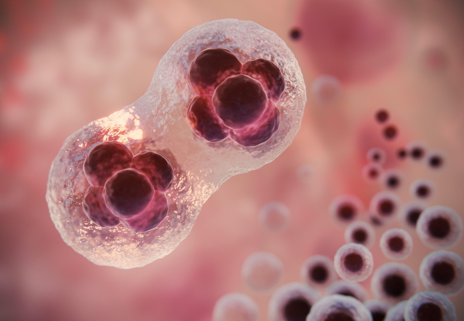 Sobrevida ao câncer chega a 70% nos EUA, e até tipos mais letais têm ganhos históricos | G1