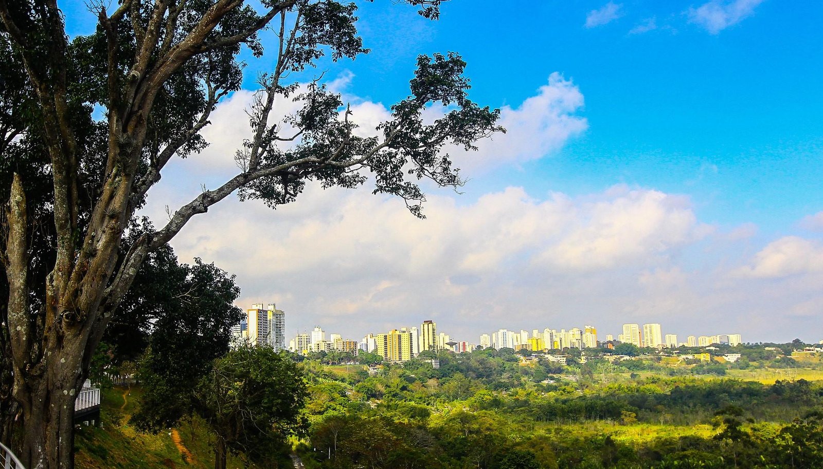 Vale: 1ª semana de março tem previsão de pouca chuva e volta do calor | G1