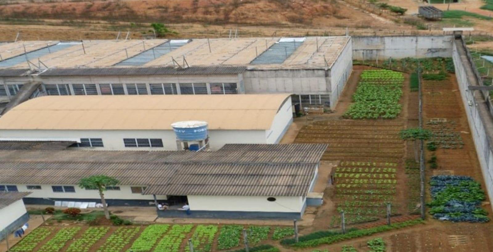 Dosimetria pode “relaxar” penas de crimes não relacionados ao 8 de janeiro