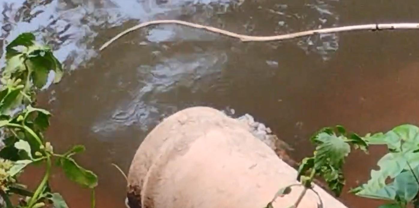 Sorocaba: rio recebe esgoto sem tratamento de centenas de casas | G1