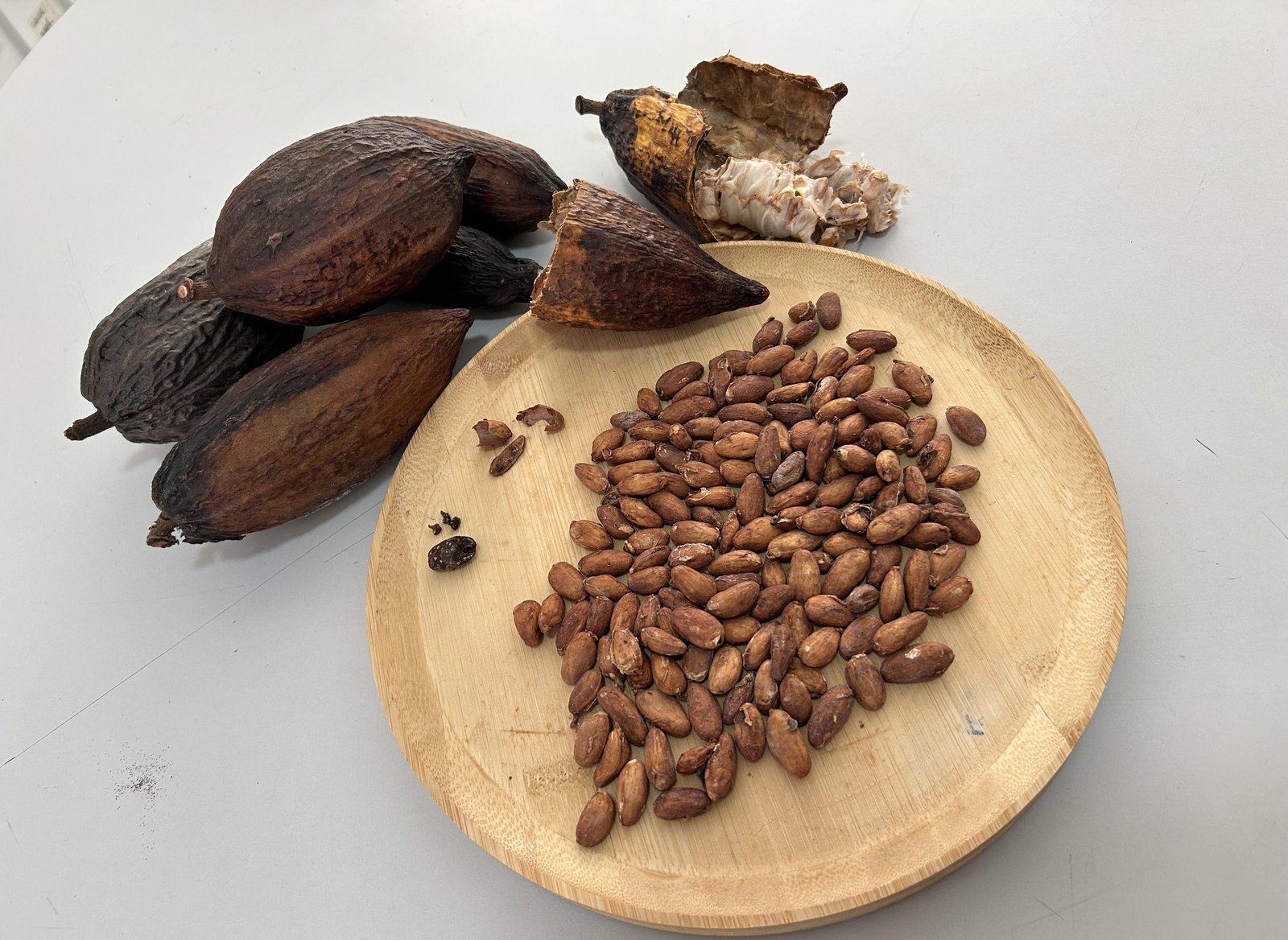 Governo suspende importação de cacau da Costa do Marfim | G1