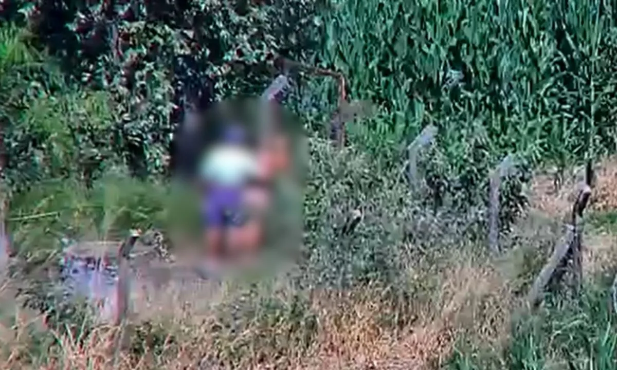 Idoso é preso por estupro de vulnerável em Valinhos