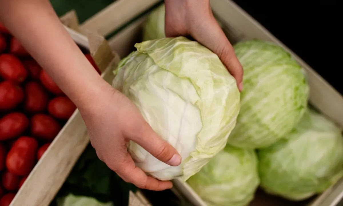 Ingrediente barato vira febre nas cozinhas; saiba qual e como preparar
