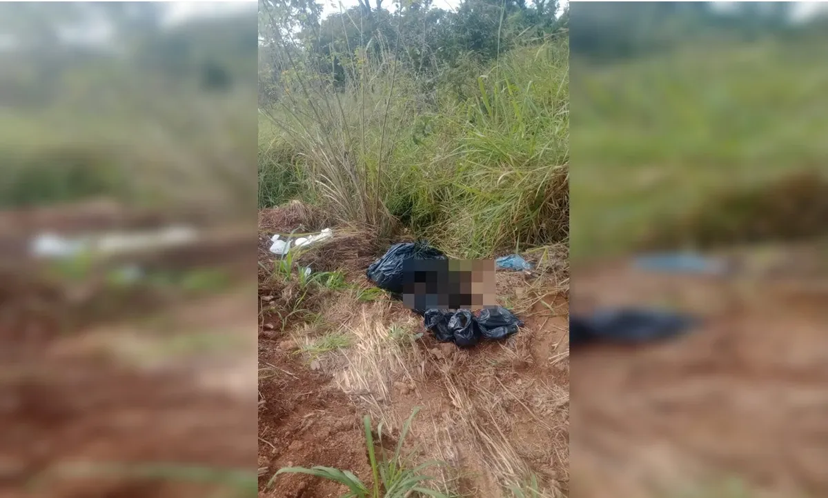 Vídeo: cães são encontrados mortos dentro de sacos de lixo no Entorno