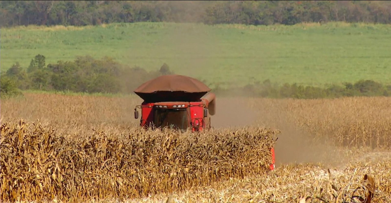 PIB do Brasil cresce 2,3% em 2025, diz IBGE | G1