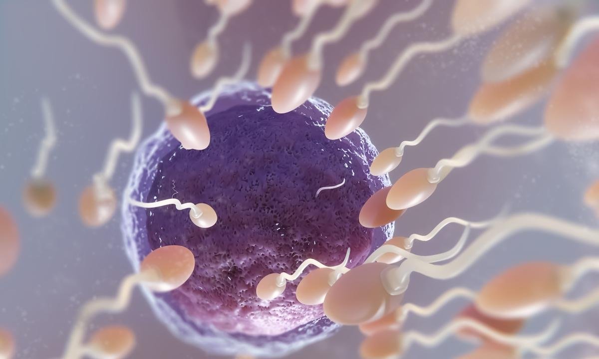 Urologista aponta quais hábitos prejudicam a qualidade dos espermas