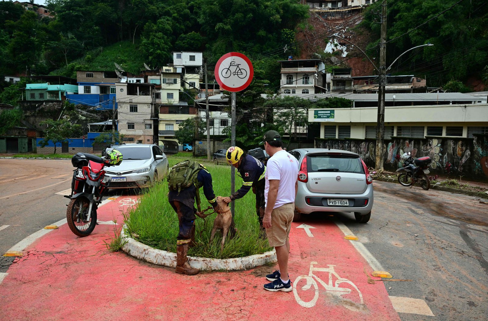 Cães, pássaros e bezerro são resgatados após chuvas torrenciais em MG
