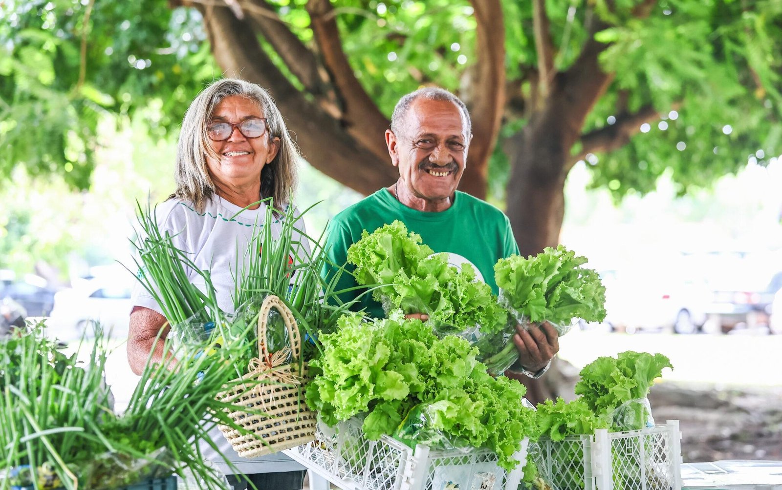 Piauí lança edital para investir até R$ 300 mil em agricultura familia | G1