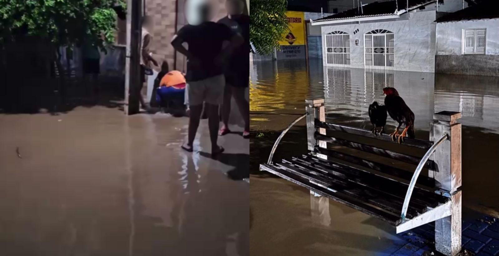 15 famílias ficam desabrigadas após fortes chuvas em cidade do Piauí | G1