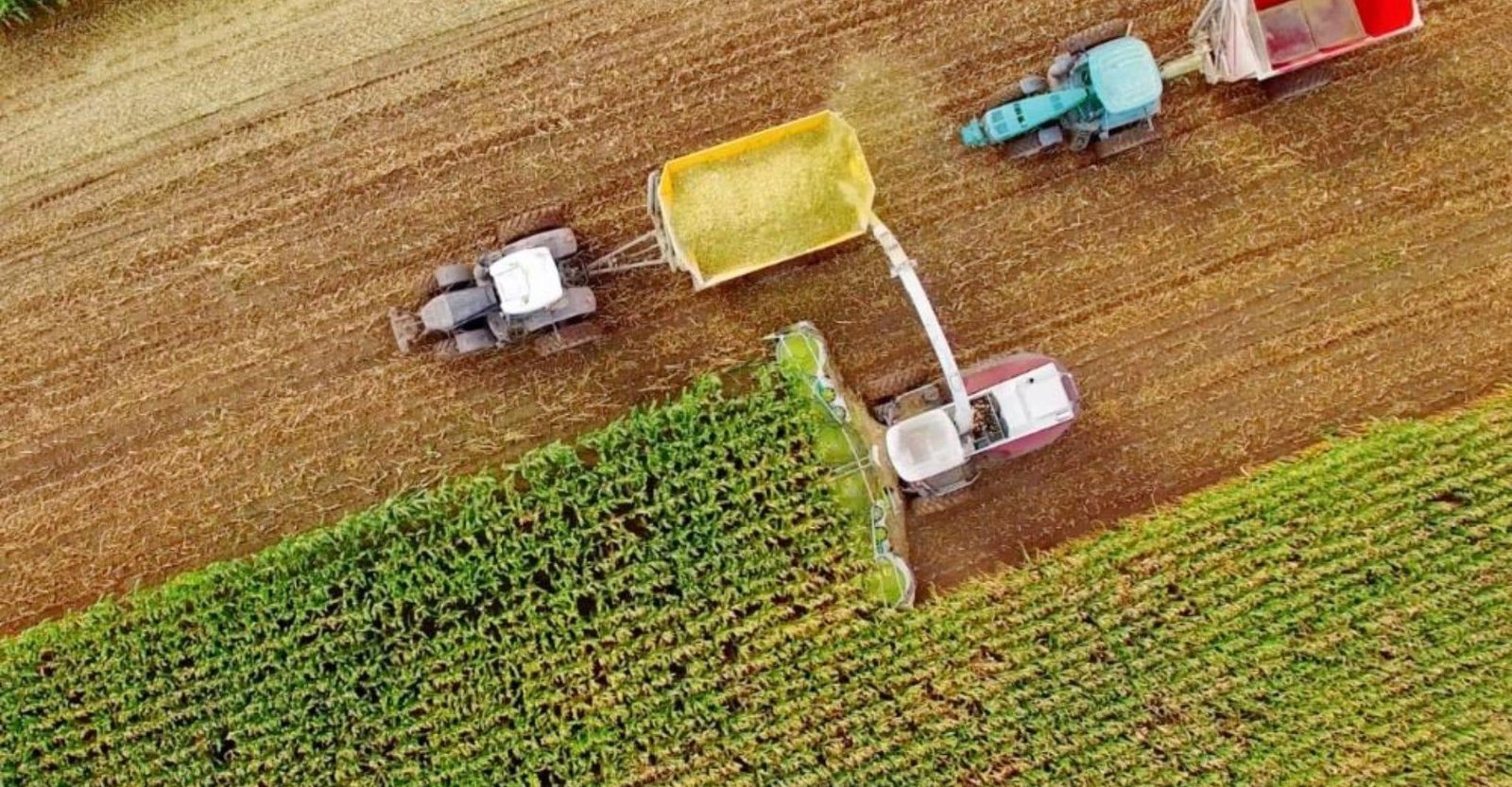 Acordo Mercosul-UE poderá beneficiar o agronegócio; entenda