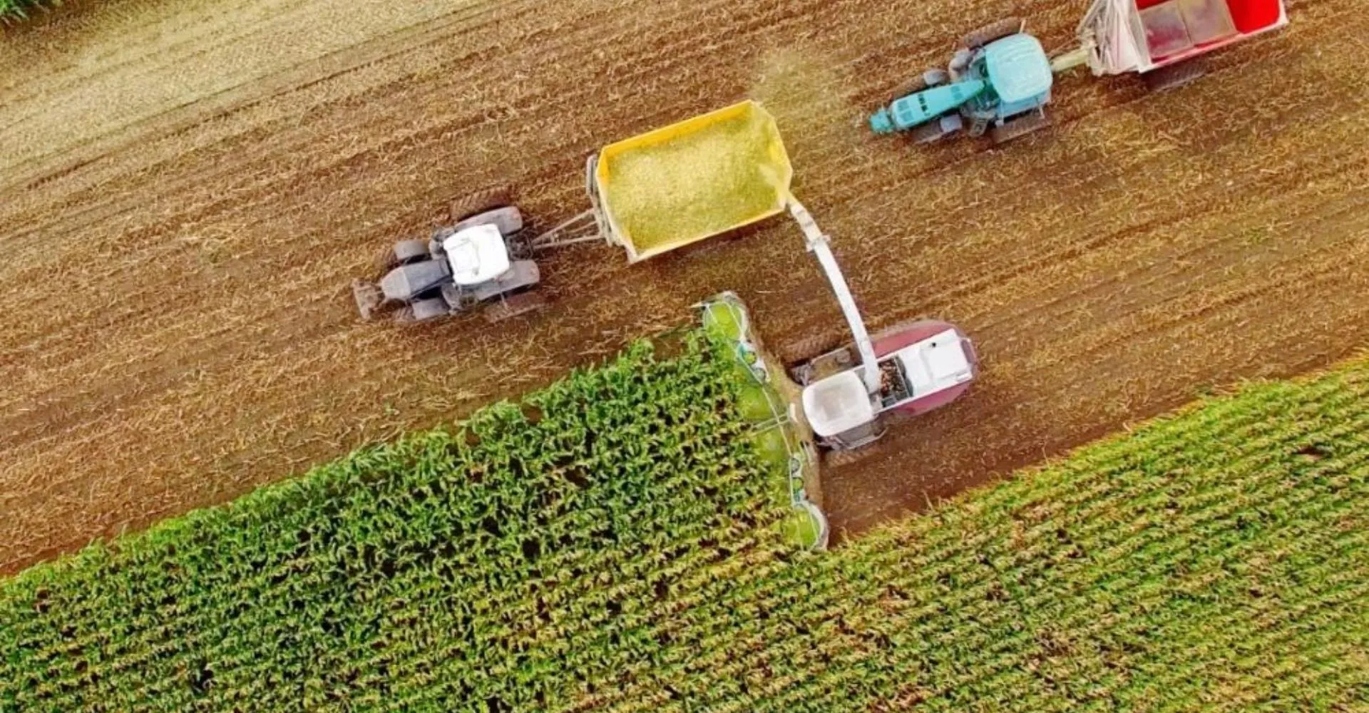 PIB do agro cresceu 12,20% no ano passado com R$ 3,2 trilhões