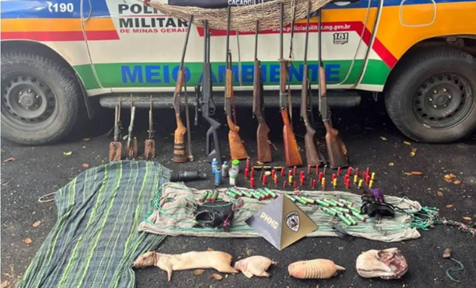 PM faz grande apreensão de armas e animais silvestres em MG