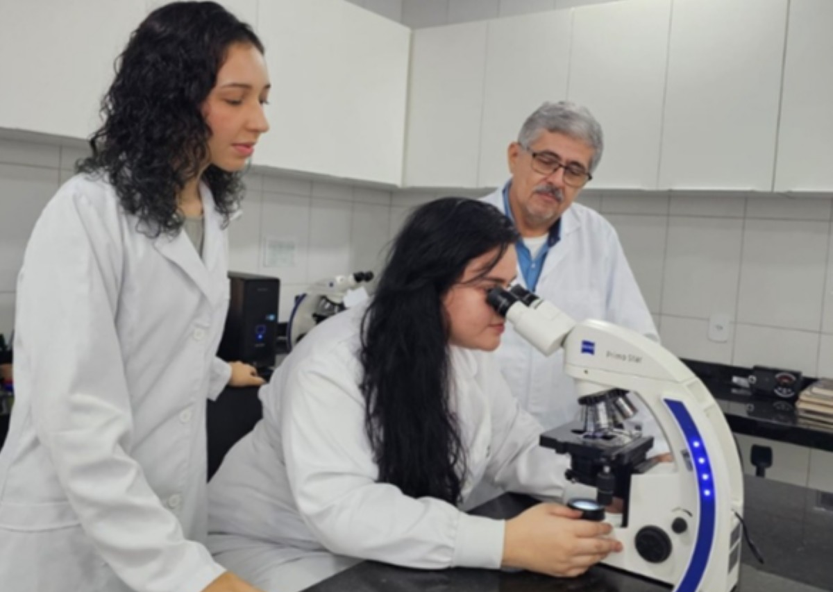 Uema desenvolve estudo para aprimorar diagnóstico da leishmaniose | G1