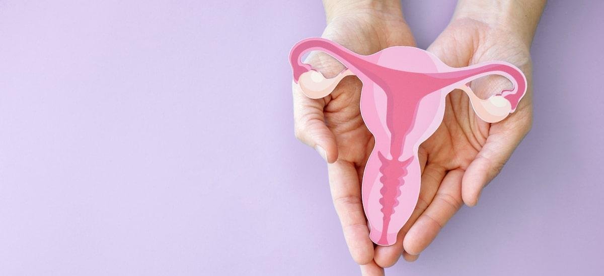 Câncer de colo do útero avança 14% no Brasil, indicam estimativas