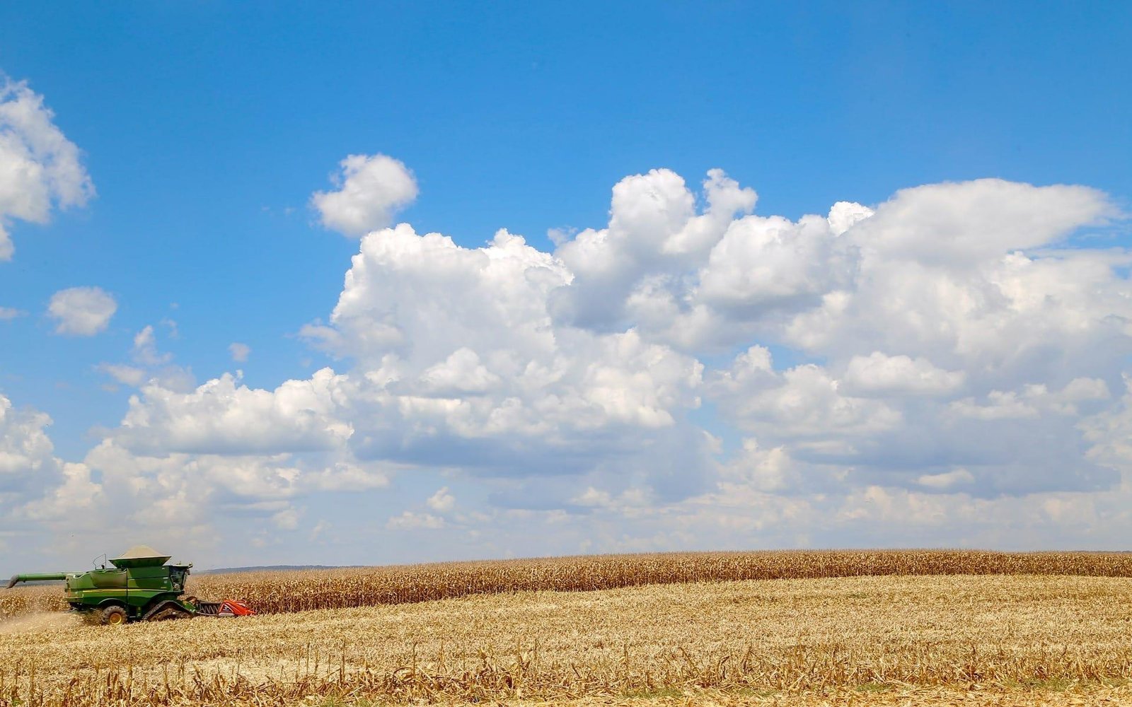 PIB de serviços sobe 0,8% no 4º tri ante os 3 meses anteriores, revela IBGE