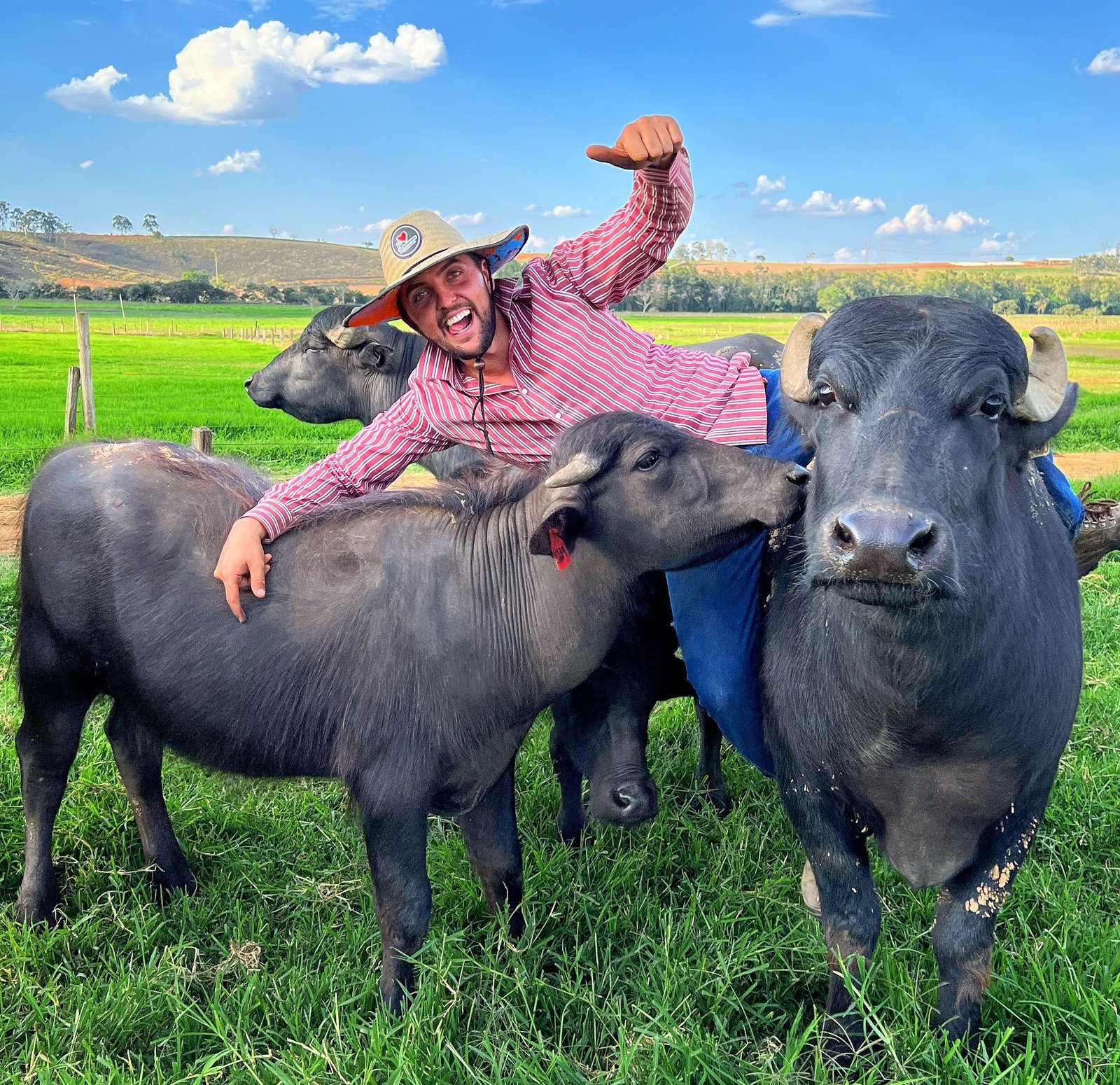 Criador de búfalos em MG viraliza com rotina de carinho na fazenda | G1