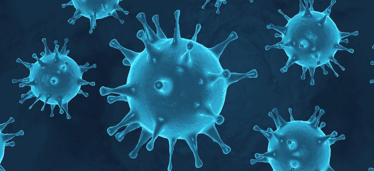 Nipah, gripe K, aviária: as doenças no radar de infectologistas em 2026