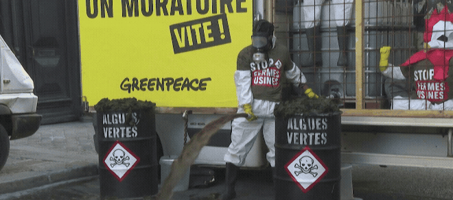 Tribunal dos EUA ordena que Greenpeace pague US$ 345 milhões à operadora de oleoduto alvo de protesto