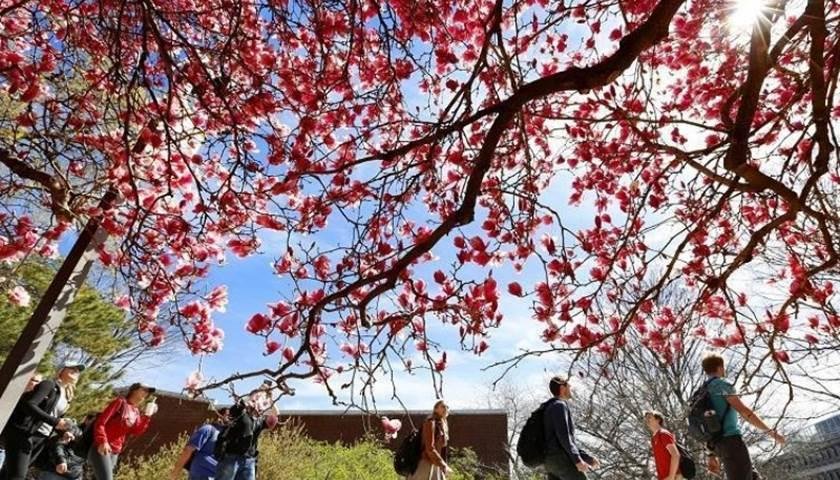 Reflexões no chuveiro